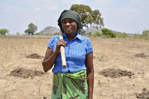 Women take lead in sustainable farming for Africa’s food security